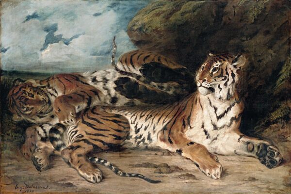 Jeune Tigre jouant avec sa mère – Eugène Delacroix Eugène Delacroix 105x70