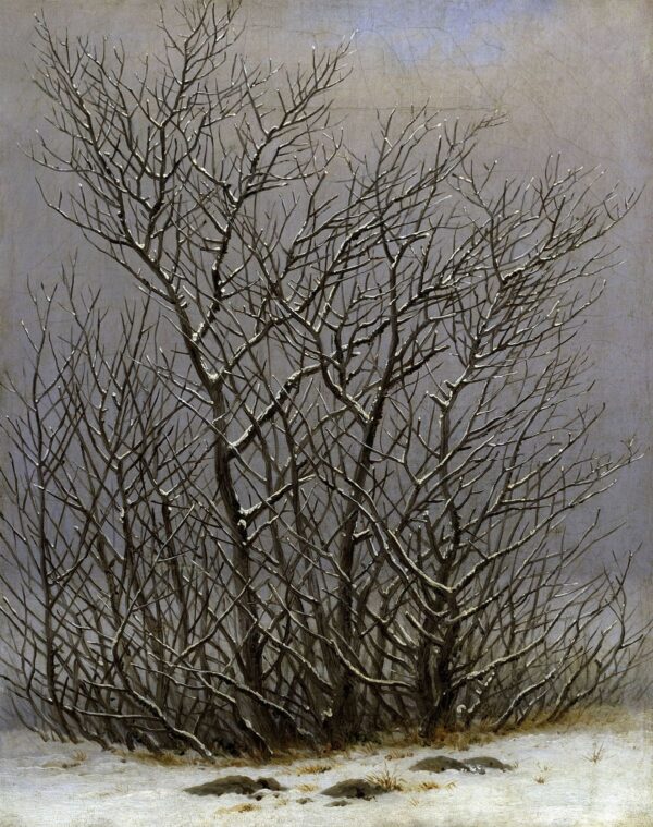 Arbres et arbustes sous la neige – Caspar David Friedrich Caspar David Friedrich 70x85