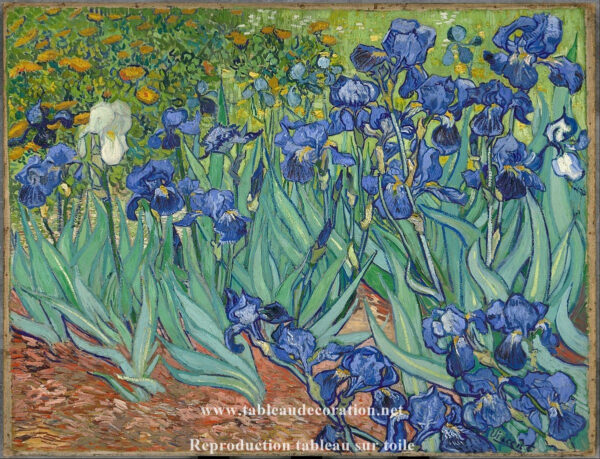 Les Iris – Van Gogh Tableaux Populaires 85x75