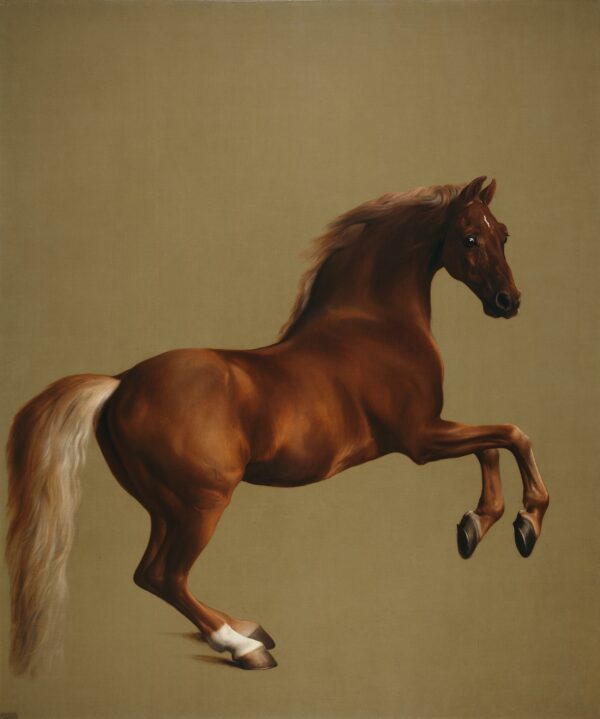 Whistlejacket – George Stubbs George Stubbs 70x85