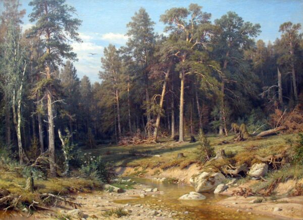 Une forêt de pins. Forêt de mâts dans la province de Viatka – Ivan Shishkin Ivan Shishkin 105x70