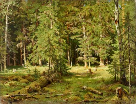 Anagorie de Wald – Ivan Shishkin Ivan Shishkin