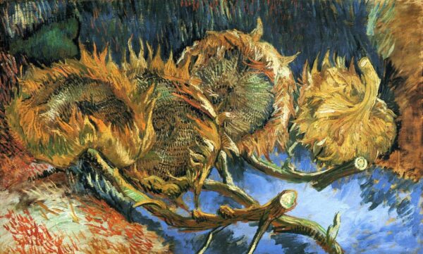 Quatre tournesols défraîchis – Van Gogh Série des Tournesols de Vincent van Gogh 120x70