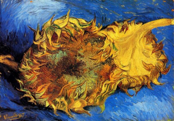 Deux tournesols coupés – Van Gogh Série des Tournesols de Vincent van Gogh 105x70