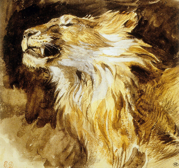 Lion rugissant – Eugène Delacroix Eugène Delacroix 70x70