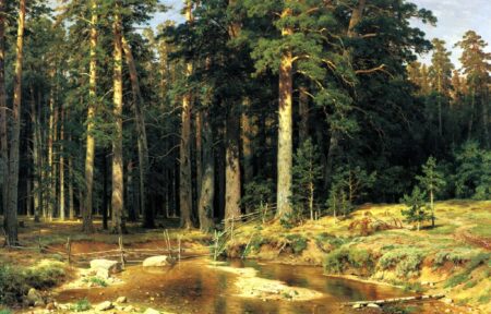 Bosquet de l’arbre à mât – Ivan Shishkin Ivan Shishkin