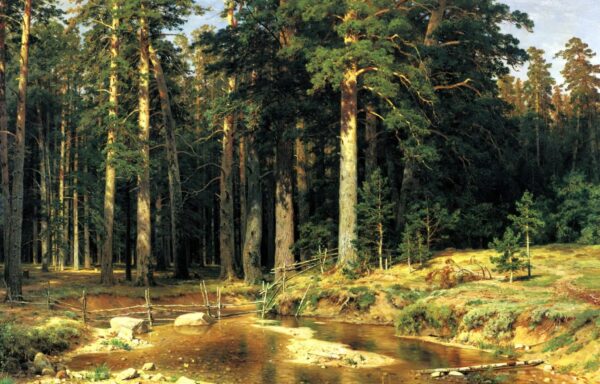 Bosquet de l’arbre à mât – Ivan Shishkin Ivan Shishkin 105x70