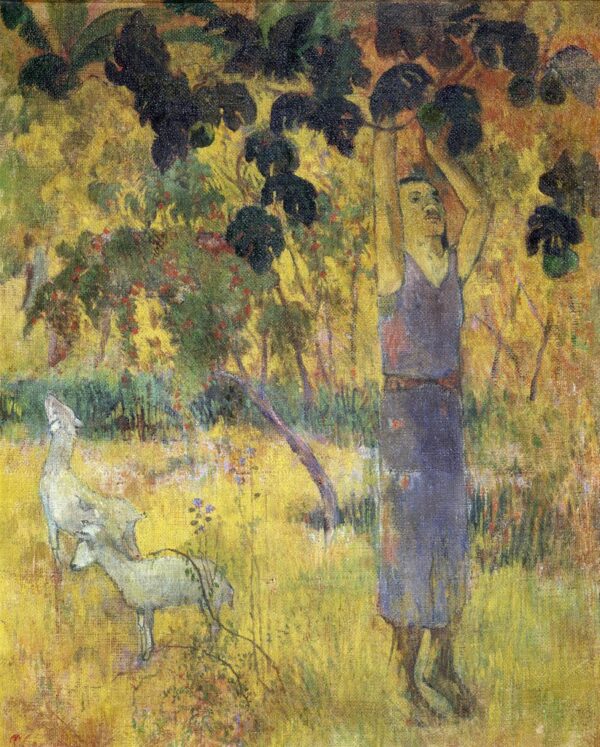 Homme cueillant des fruits sur un arbre – Paul Gauguin Paul Gauguin 70x85