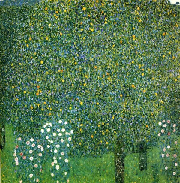 Rosiers sous les arbres – Gustav Klimt Gustav Klimt 70x70