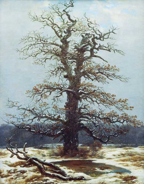 Chêne dans la neige – Caspar David Friedrich Caspar David Friedrich 70x85