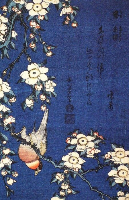 bouvreuil et fleurs de cerisier pleureur – Katsushika Hokusai Katsushika Hokusai