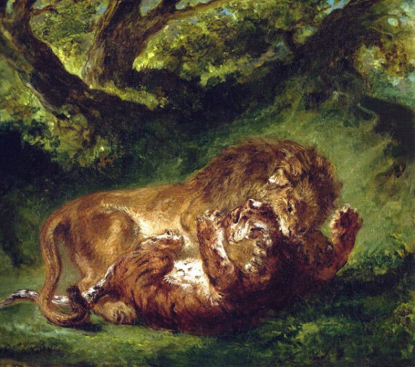 Lutte entre le lion et le tigre – Eugène Delacroix Eugène Delacroix 70x70