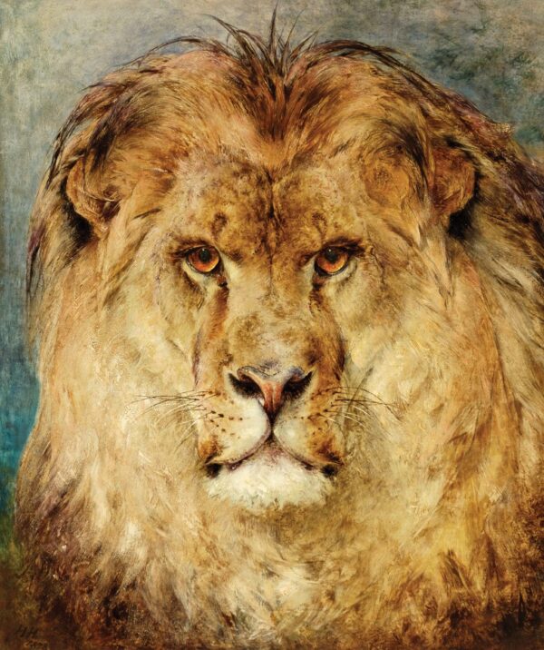 Une tête de lion – Heywood Hardy Heywood Hardy 70x85