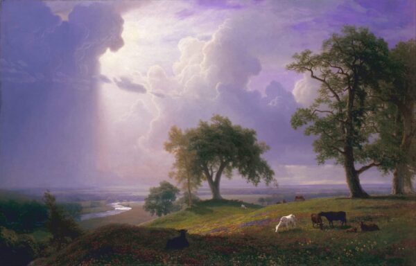 Printemps california – Albert Bierstadt Albert Bierstadt 105x70