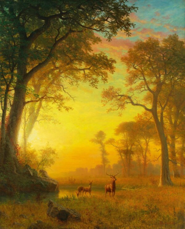 Lumière dans la forêt – Albert Bierstadt Albert Bierstadt 70x85