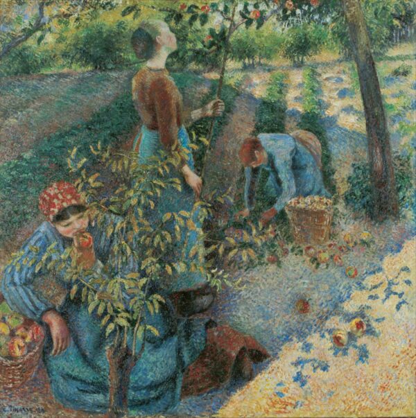 Cueillette des pommes – Camille Pissarro Camille Pissarro 70x70