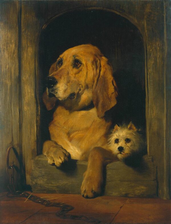 Dignité et impudence – Edwin Landseer Edwin Landseer 70x85