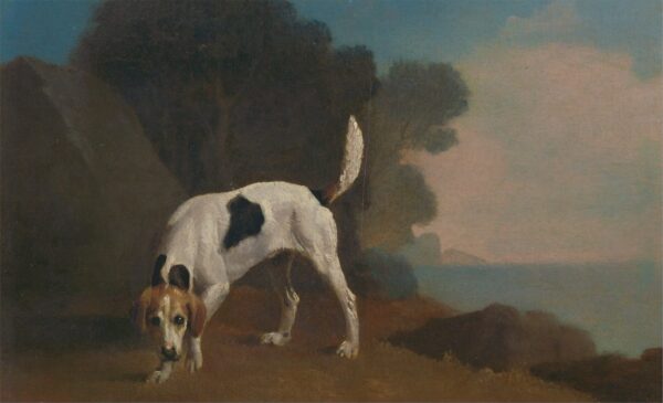 Foxhound – George Stubbs George Stubbs 105x70