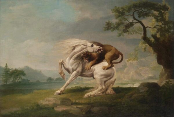 Un lion attaquant un cheval – George Stubbs George Stubbs 105x70