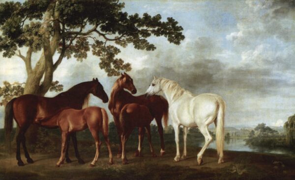 Juments et poulains – George Stubbs George Stubbs 105x70