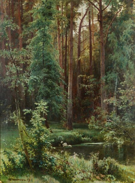 Boisé – Ivan Shishkin Ivan Shishkin