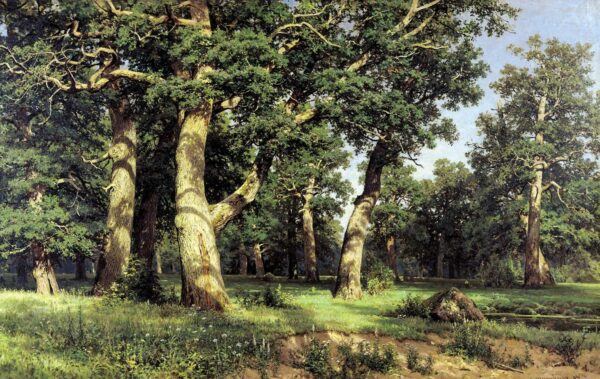 Oak grove – Ivan Shishkin Ivan Shishkin 105x70