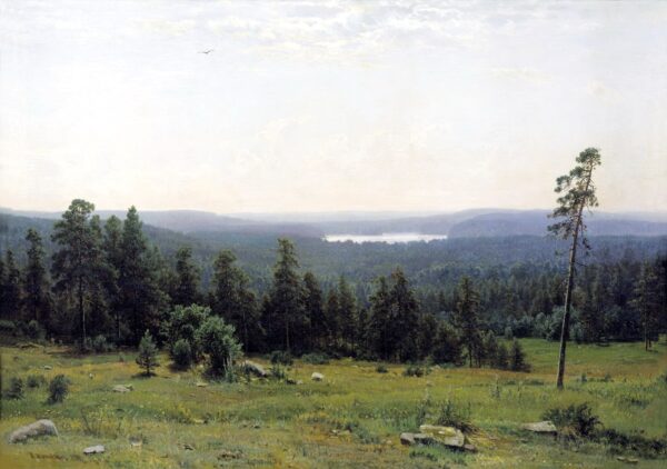 La forêt vue de loin – Ivan Shishkin Ivan Shishkin 105x70