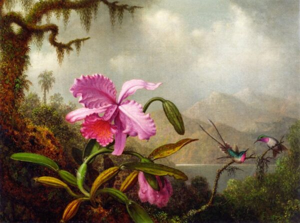 Orchidées et colibris – Martin Johnson Heade Martin Johnson Heade 105x70