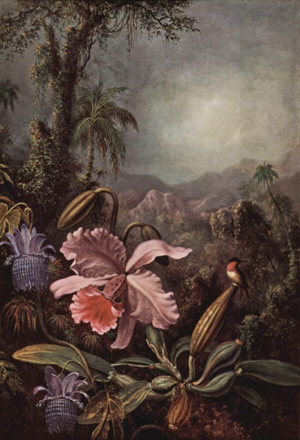 Orchidée, Passiflore et Colibri – Martin Johnson Heade Martin Johnson Heade 70x105