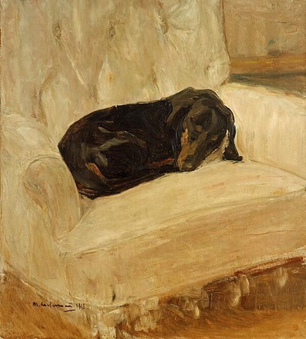 Teckel endormi dans un fauteuil – Max Liebermann Max Liebermann 70x70