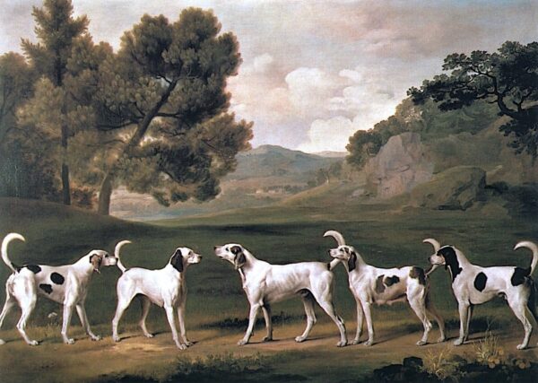 Foxhounds dans un paysage, 1762 – George Stubbs George Stubbs 105x70