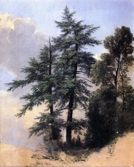 Étude de la nature des arbres de Newburgh, New York, 1849 – Asher Brown Durand Asher Brown Durand