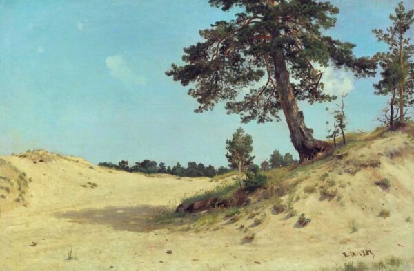 Pin dans le sable  – Ivan Shishkin Ivan Shishkin 105x70