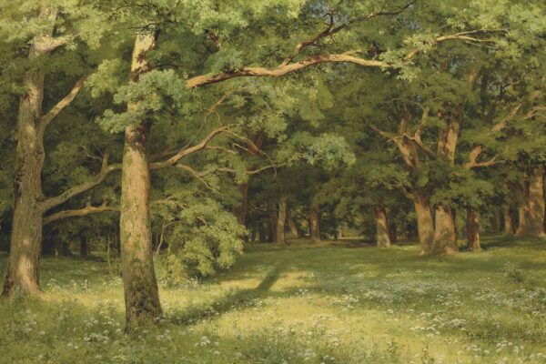 Le défrichement de la forêt – Ivan Shishkin Ivan Shishkin 105x70