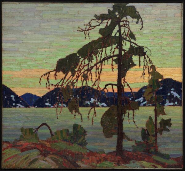 Le pin gris – Tom Thomson Tom Thomson