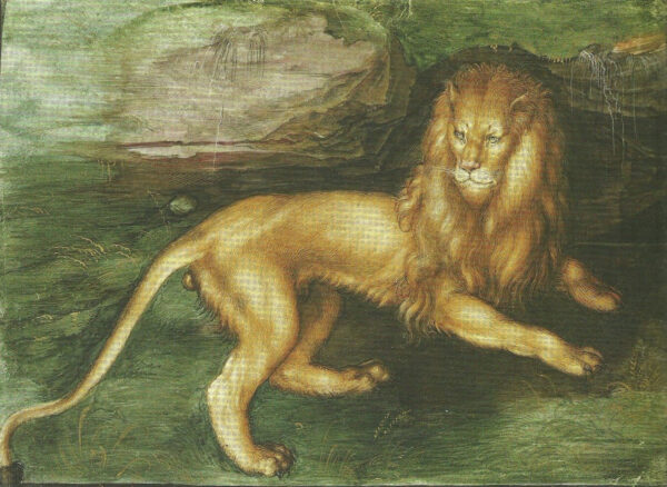 Lion – Albrecht Dürer Albrecht Dürer 105x70