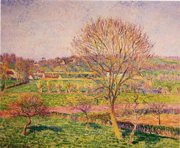 Gros noyer à Eragny – Camille Pissarro Camille Pissarro 85x75