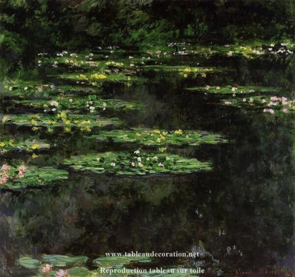 Nymphéas noirs – Monet tableau Claude Monet 70x70