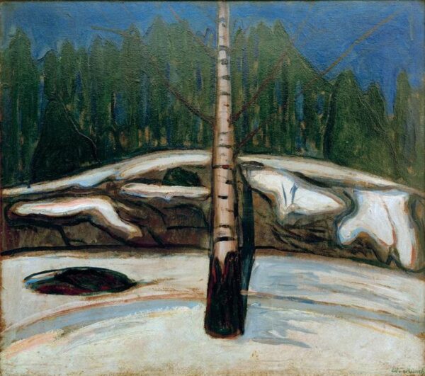 Bouleau dans la neige – Edvard Munch Edvard Munch 70x70