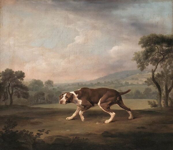 Pointeur espagnol – George Stubbs George Stubbs 85x75