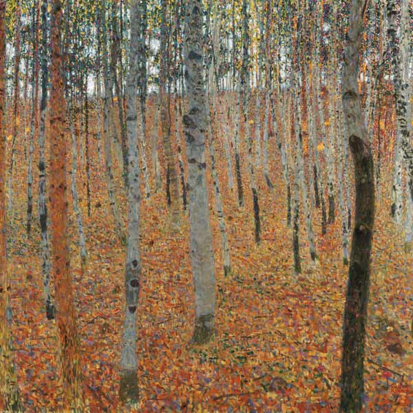 Forêt de bouleaux – Gustav Klimt Gustav Klimt 70x70