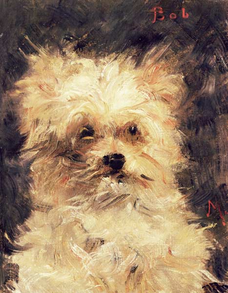 Tête d’un chien « Bob » – Edouard Manet Édouard Manet