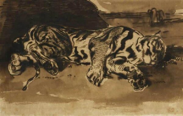 Tigre Couché – Eugène Delacroix Eugène Delacroix 105x70