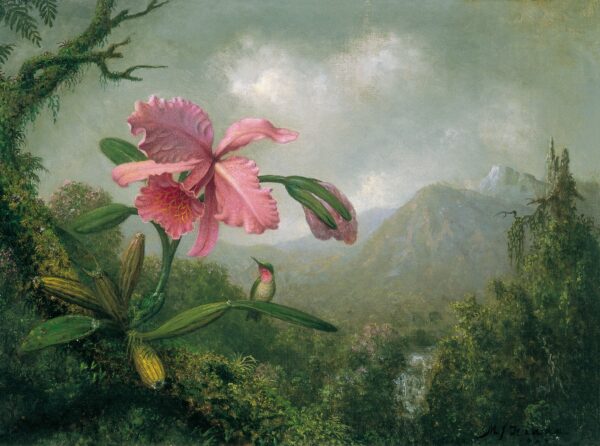 Orchidée et colibri près d’une cascade de montagne – Martin Johnson Heade Martin Johnson Heade 85x75