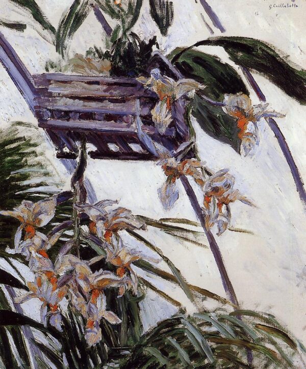 Orchids – Caillebotte Gustave Caillebotte 70x85