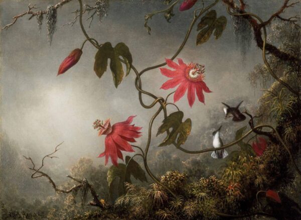 Les fleurs de la passion avec les colibris – Martin Johnson Heade Martin Johnson Heade 105x70