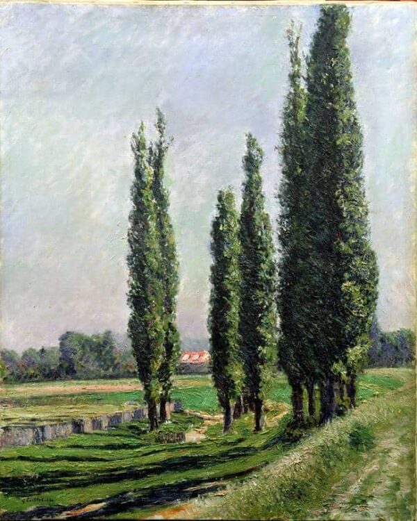 Peupliers au bord de la rivière à Argenteuil – Caillebotte Gustave Caillebotte 70x85