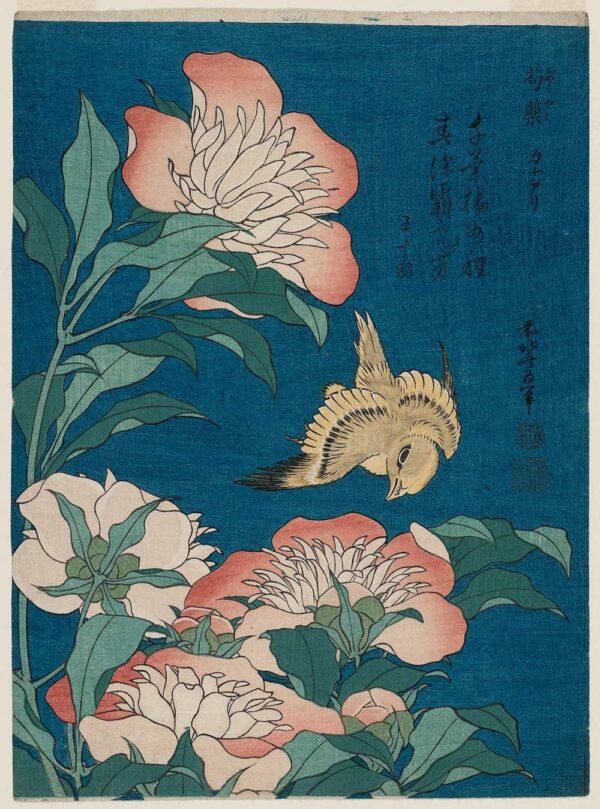 hokusai pivoines et canari (shakuyaku, kanaari), d’une série sans titre connue sous le nom de petites fleurs – Katsushika Hokusai Katsushika Hokusai 70x85