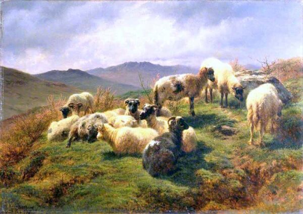 Sheep in the Highlands – Rosa Bonheur Rosa Bonheur 105x70