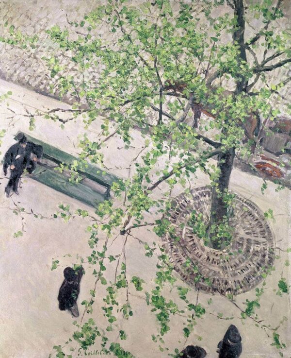 Gustave caillebotte boulevard vu d’en haut – Caillebotte Gustave Caillebotte 70x85